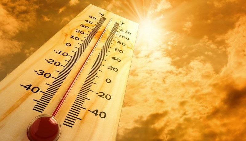 QLD heatwave