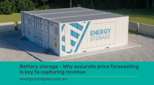 battery storage revenue price forecasting