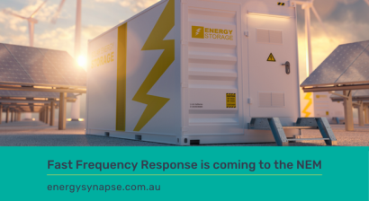 Fast frequency response FFR NEM