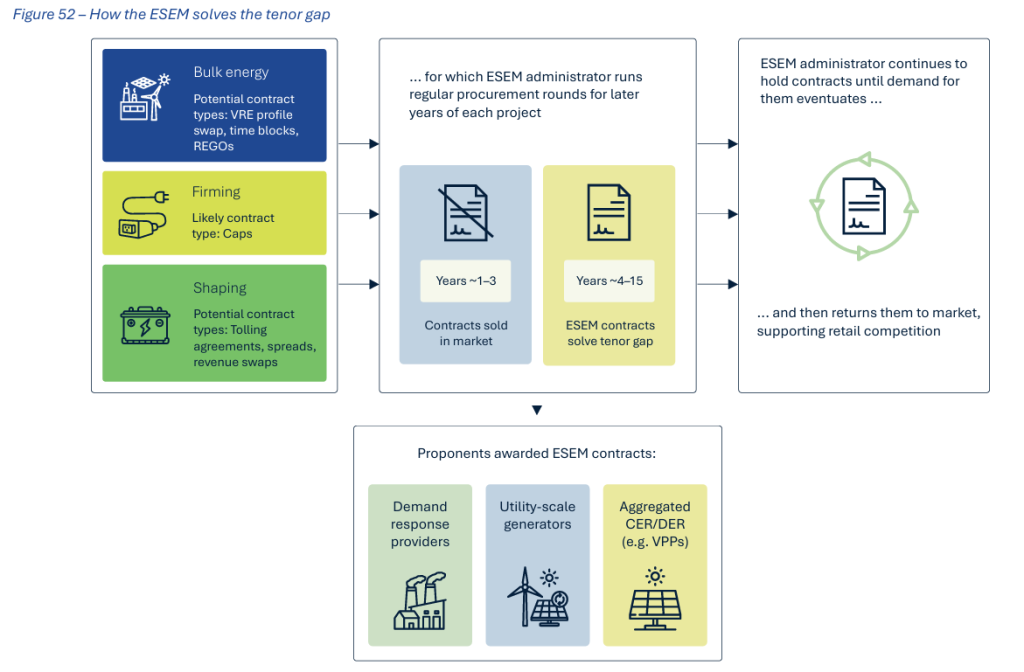 ESEM Electricity Services Entry Mechanism Nelson Review National Electricity Market (NEM) Wholesale Market Settings Review